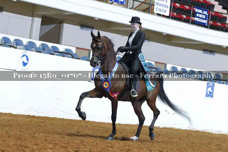 Proof 15R9_01767