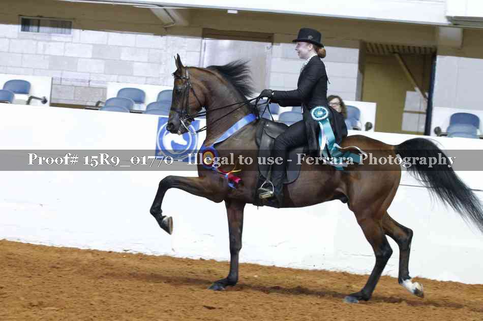 Proof 15R9_01770