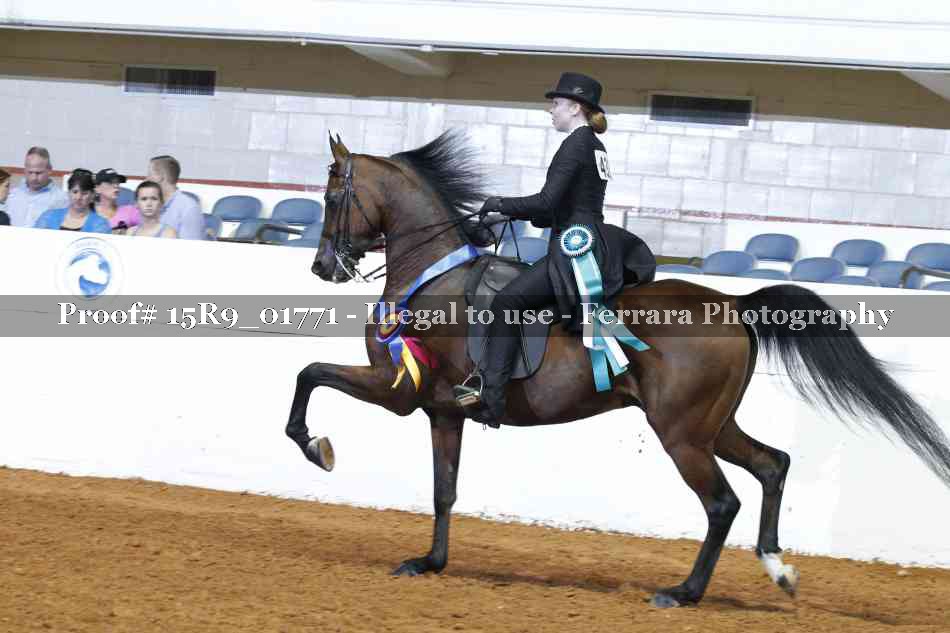Proof 15R9_01771