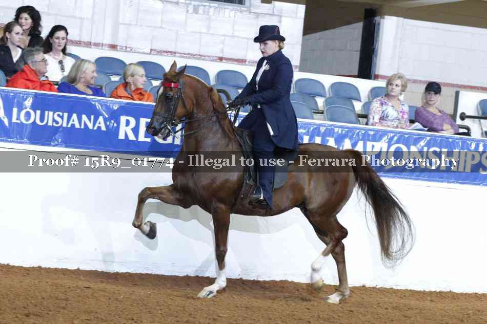 Proof 15R9_01774