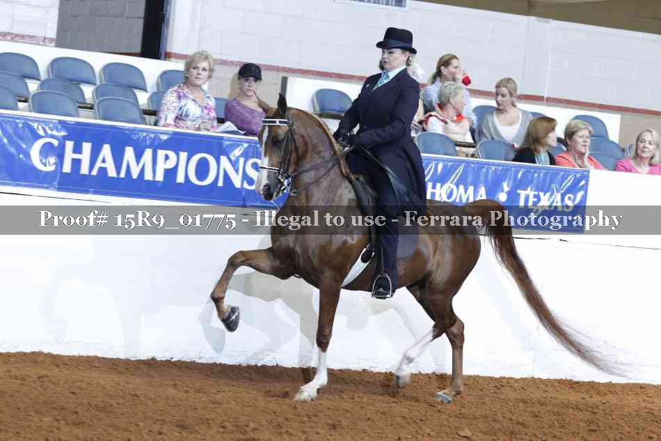 Proof 15R9_01775