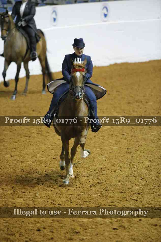 Proof 15R9_01776