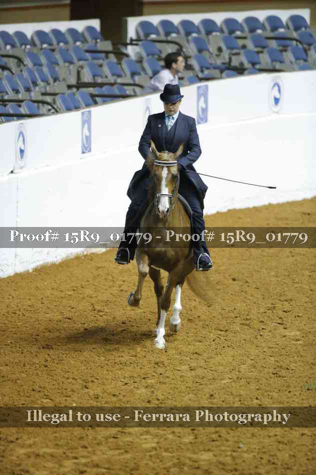 Proof 15R9_01779