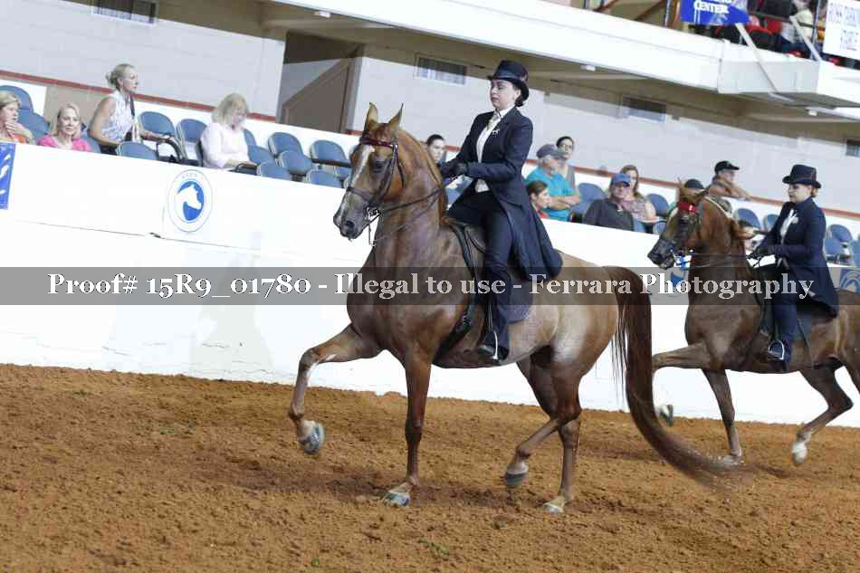 Proof 15R9_01780