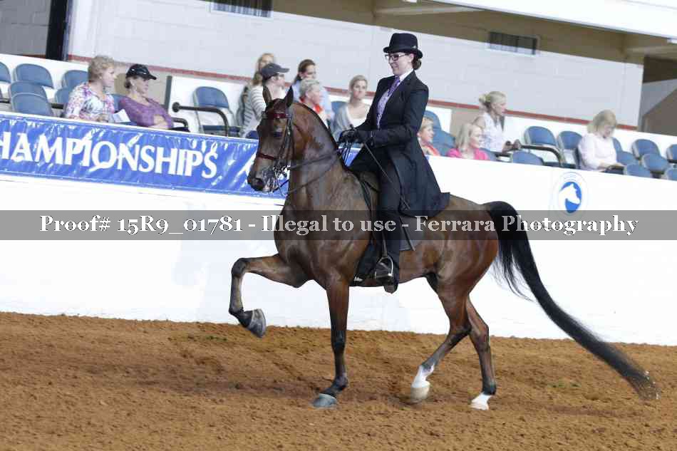 Proof 15R9_01781