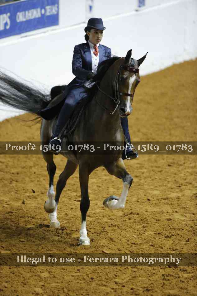 Proof 15R9_01783