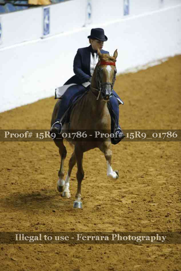 Proof 15R9_01786