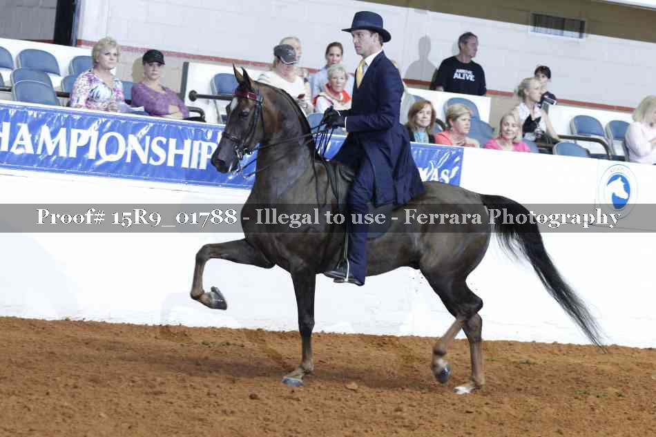 Proof 15R9_01788