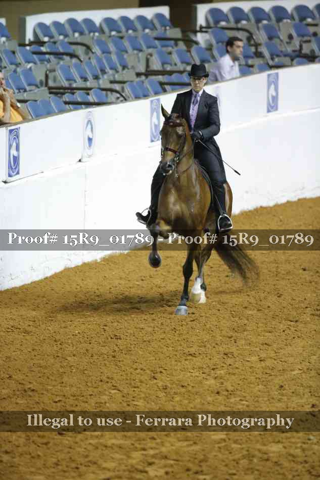 Proof 15R9_01789