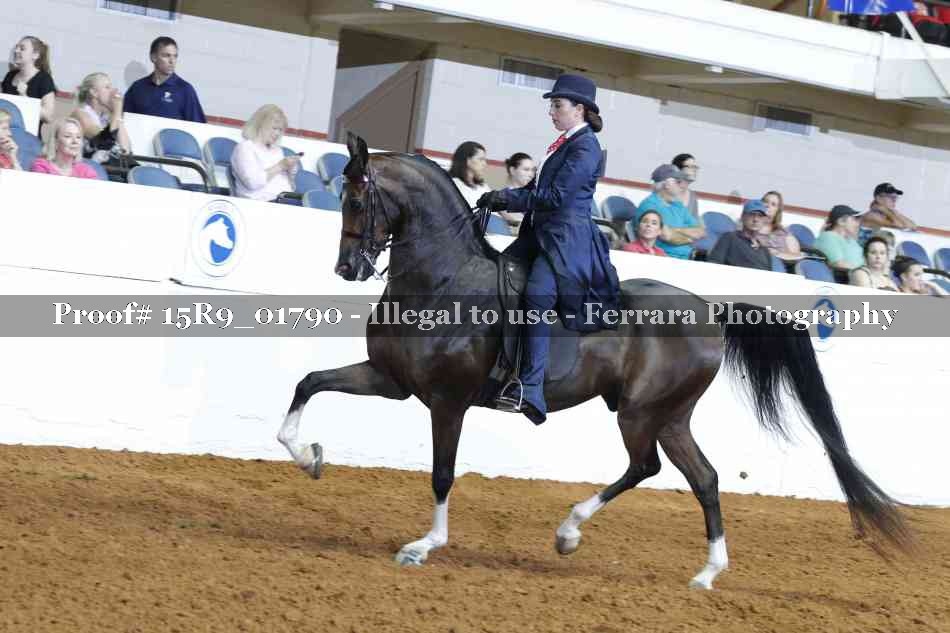 Proof 15R9_01790