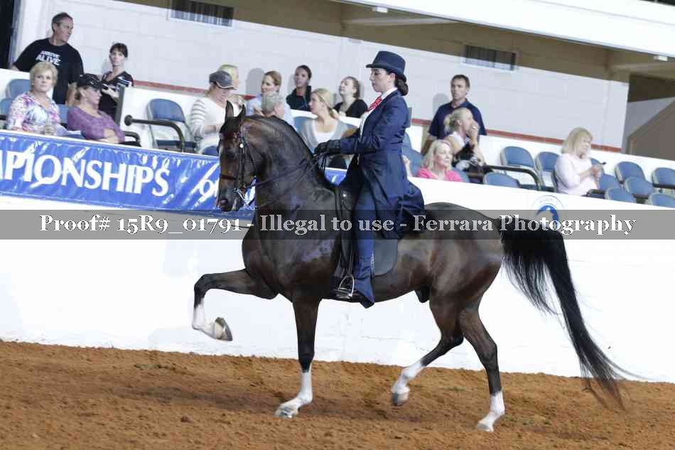 Proof 15R9_01791
