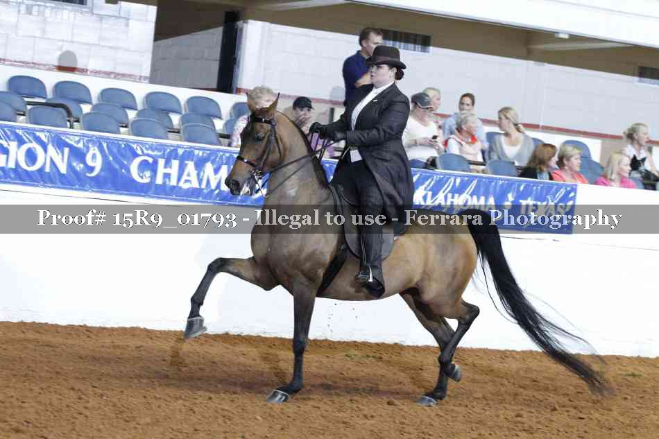 Proof 15R9_01793