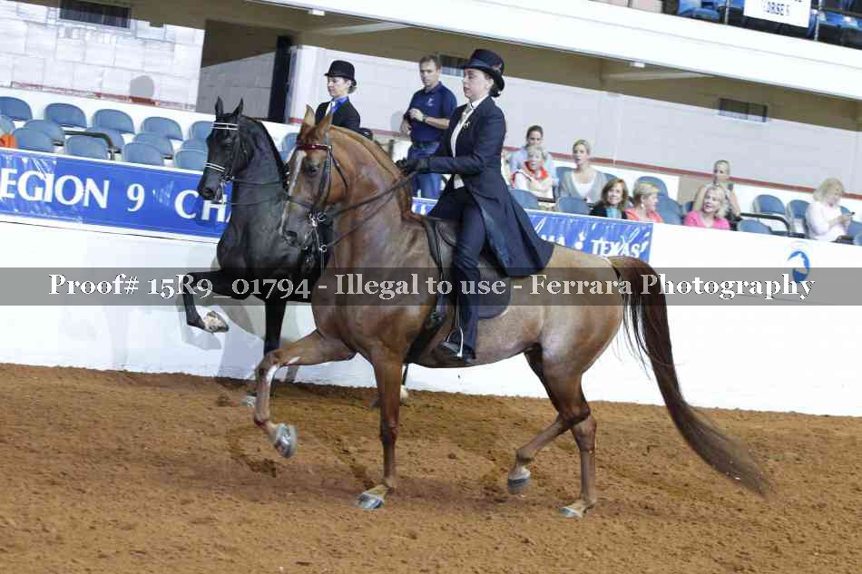 Proof 15R9_01794
