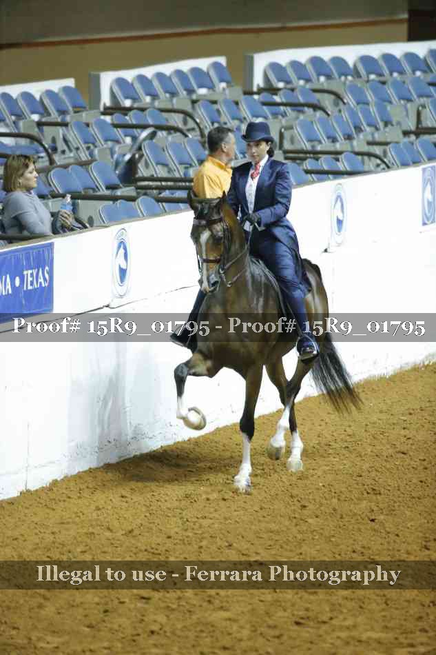 Proof 15R9_01795