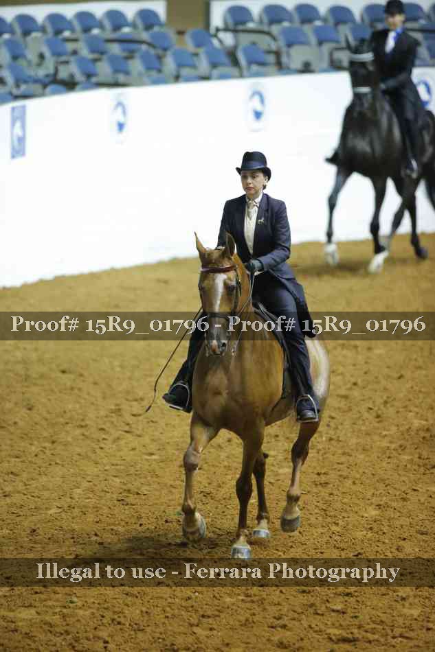 Proof 15R9_01796