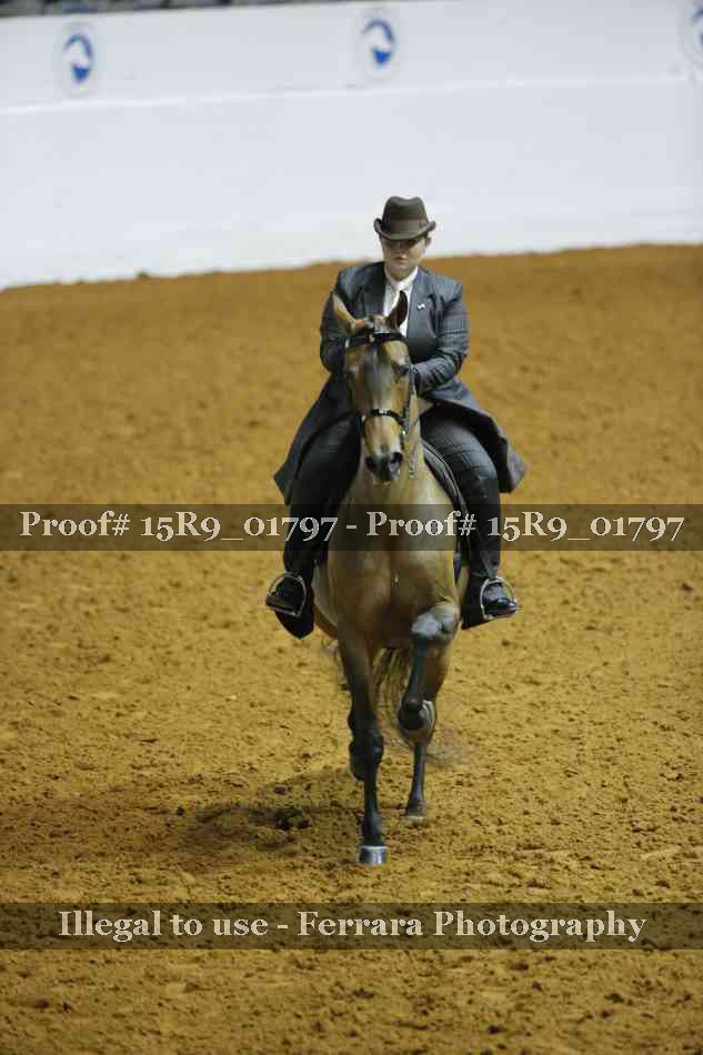 Proof 15R9_01797