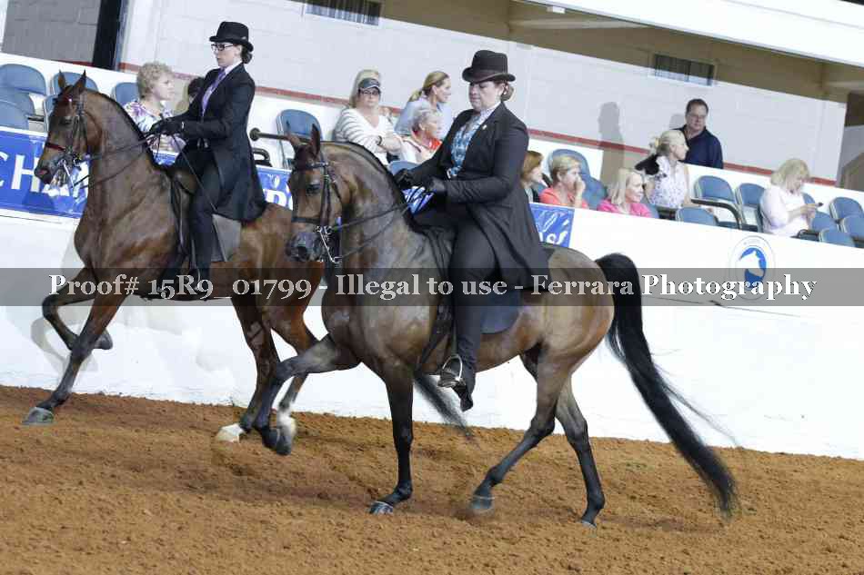 Proof 15R9_01799