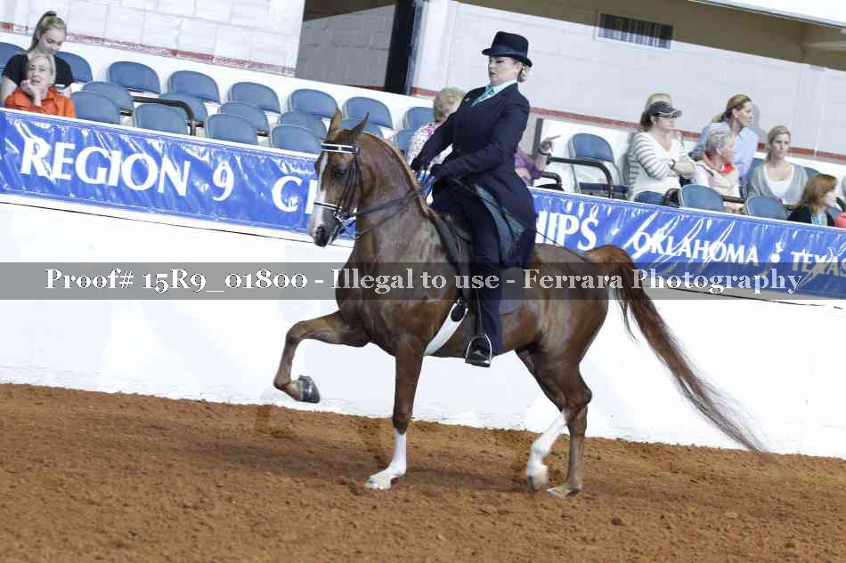 Proof 15R9_01800