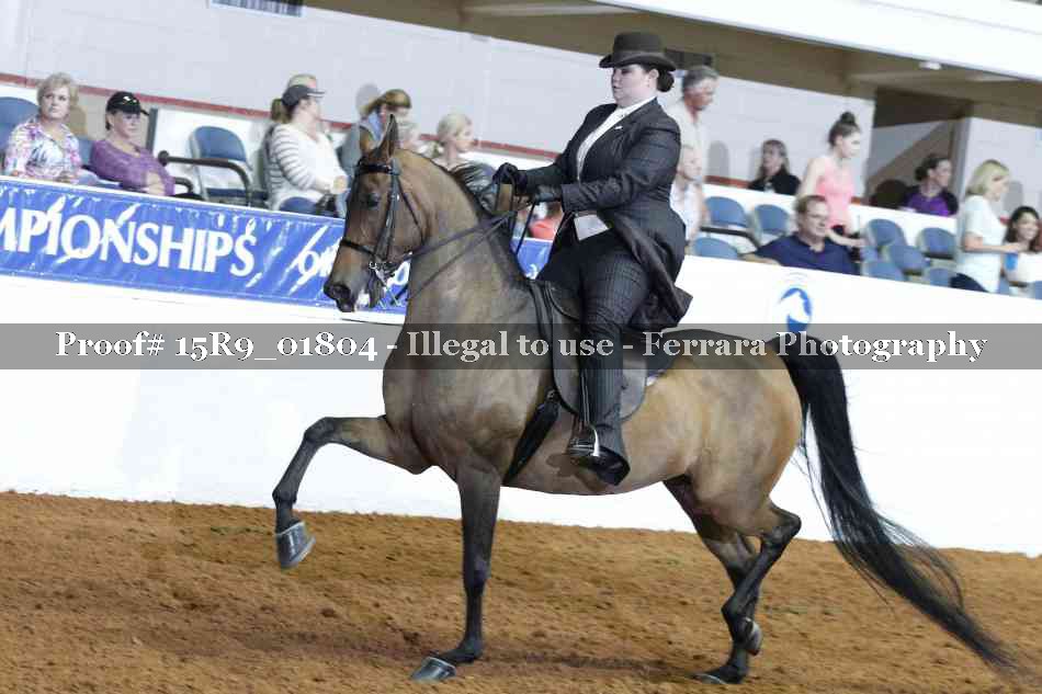 Proof 15R9_01804