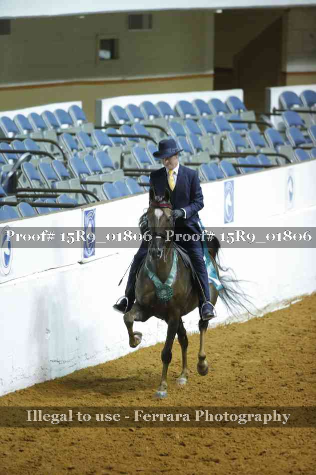 Proof 15R9_01806