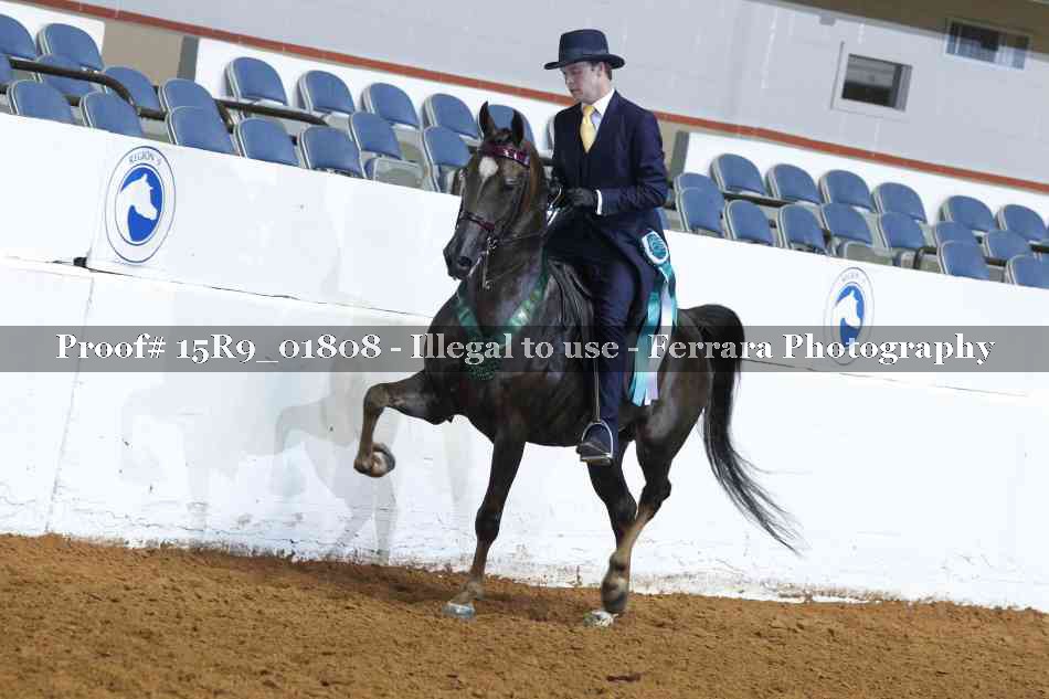 Proof 15R9_01808