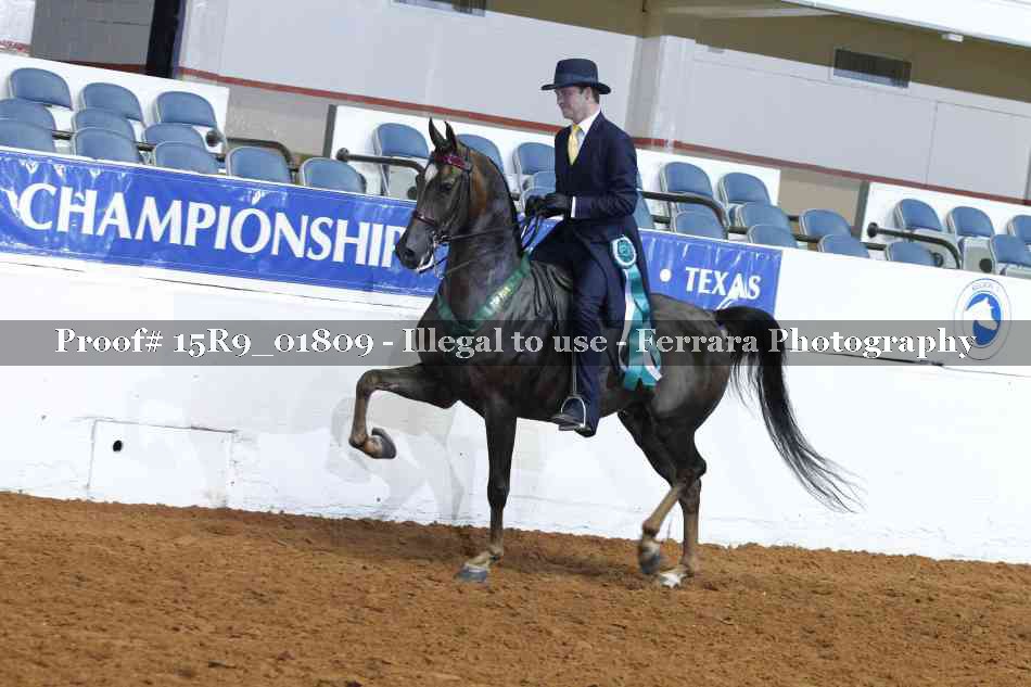 Proof 15R9_01809