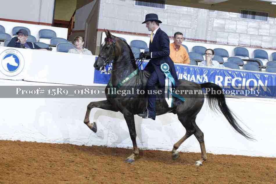 Proof 15R9_01810