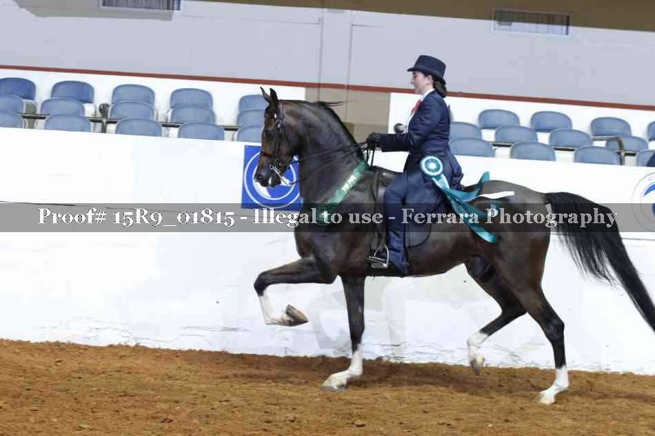 Proof 15R9_01815