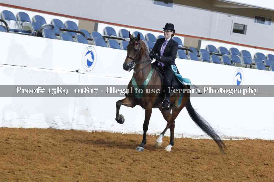Proof 15R9_01817