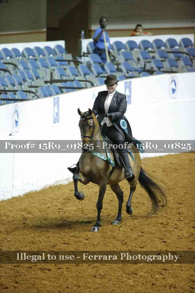 Proof 15R9_01825