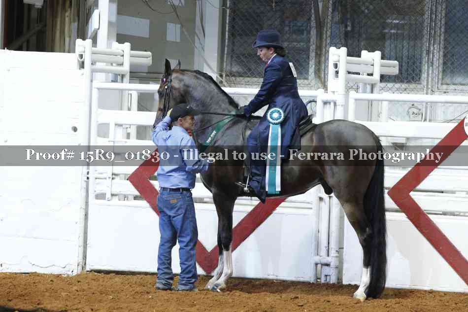 Proof 15R9_01830