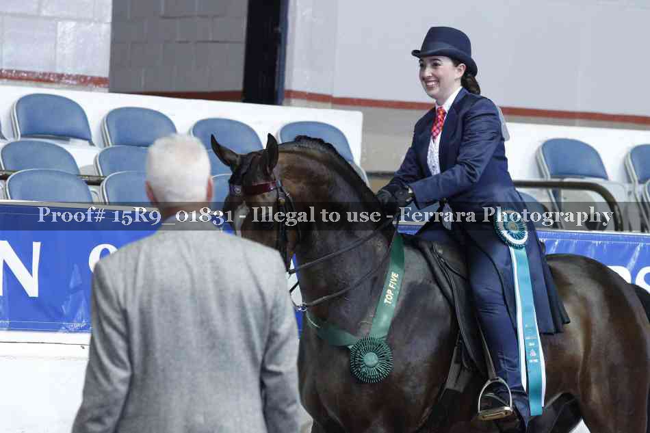 Proof 15R9_01831
