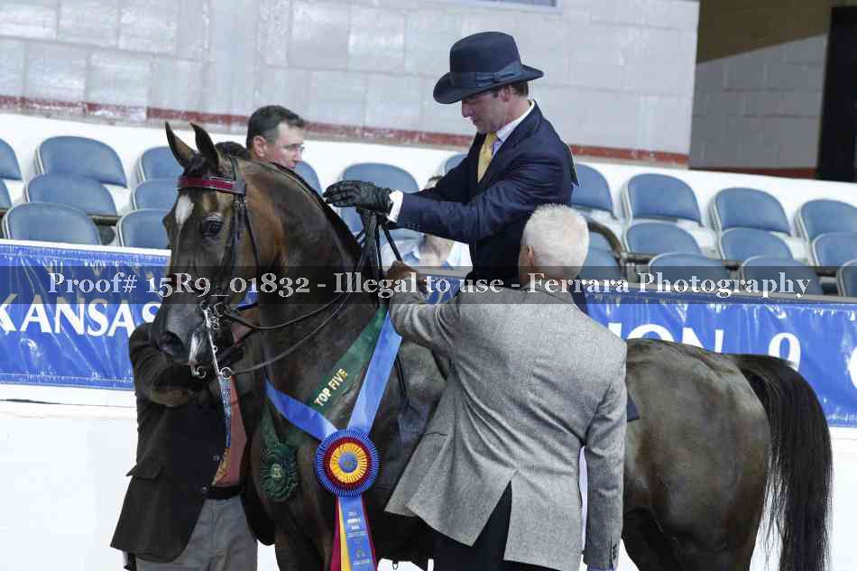 Proof 15R9_01832