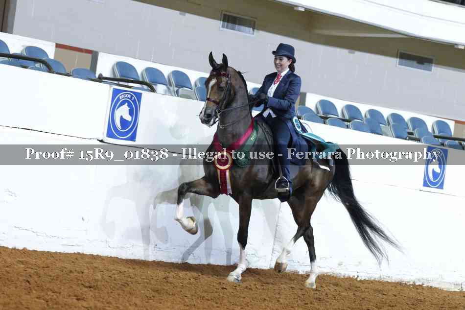 Proof 15R9_01838