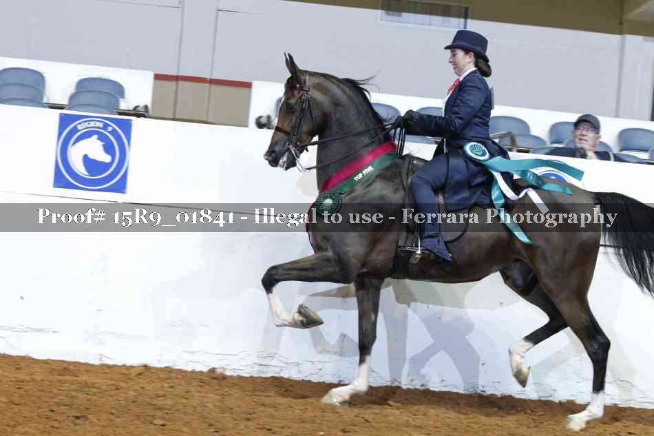 Proof 15R9_01841