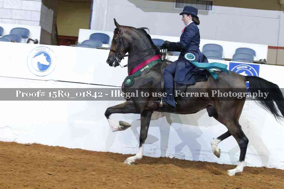Proof 15R9_01842