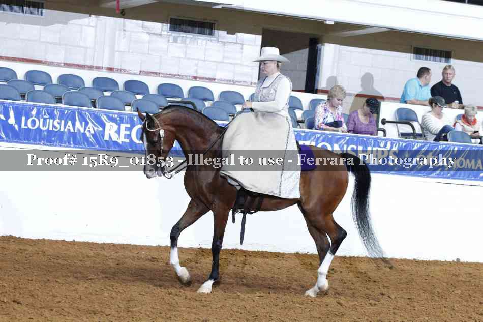 Proof 15R9_01853