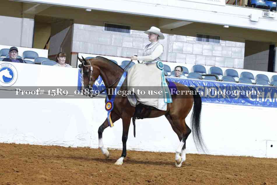 Proof 15R9_01879