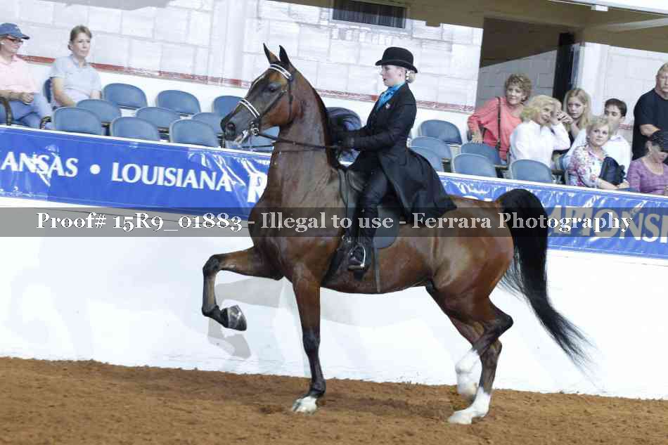 Proof 15R9_01883