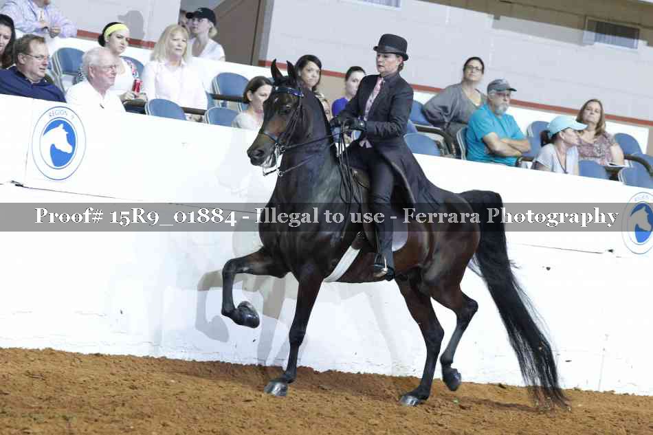 Proof 15R9_01884