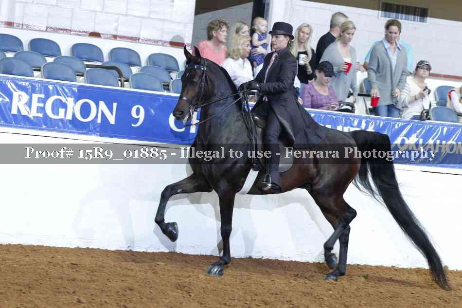 Proof 15R9_01885