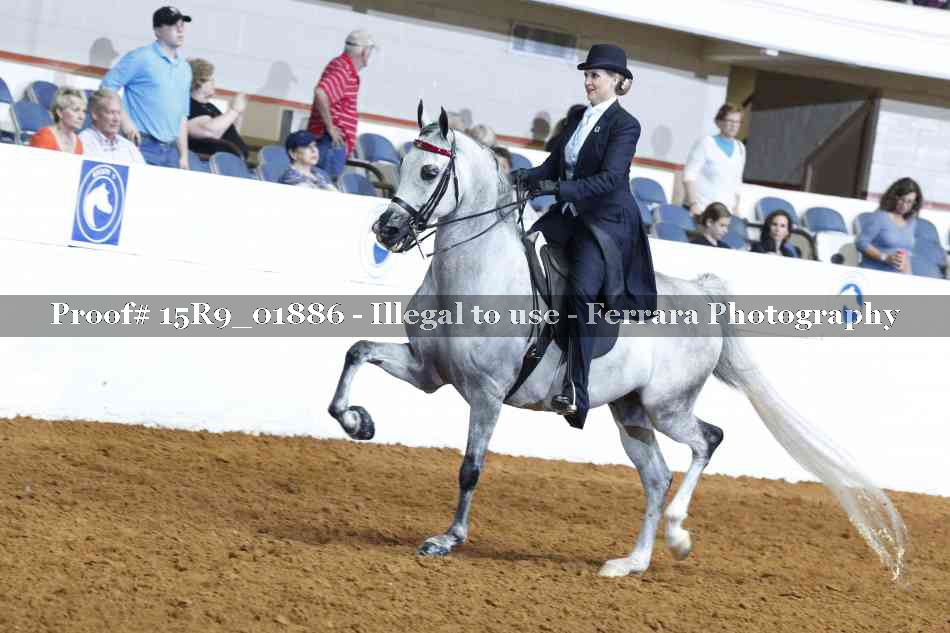 Proof 15R9_01886