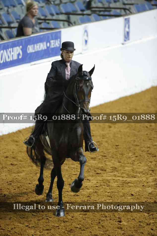 Proof 15R9_01888