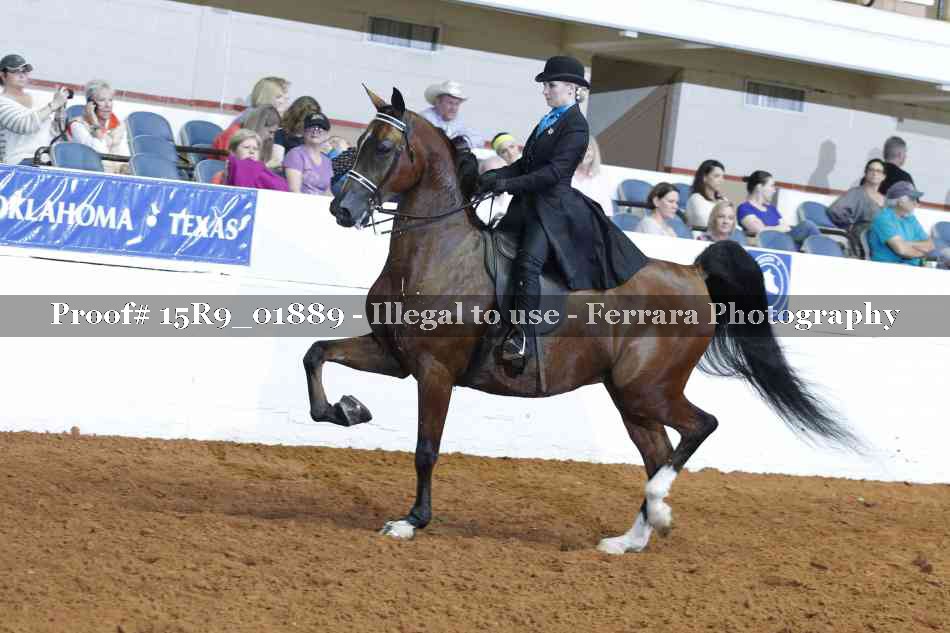 Proof 15R9_01889