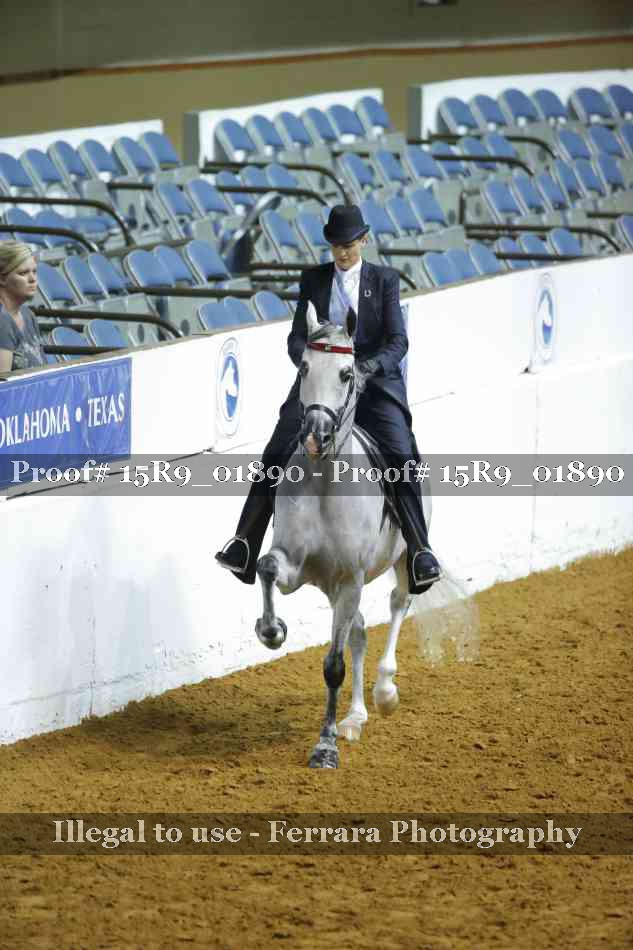 Proof 15R9_01890