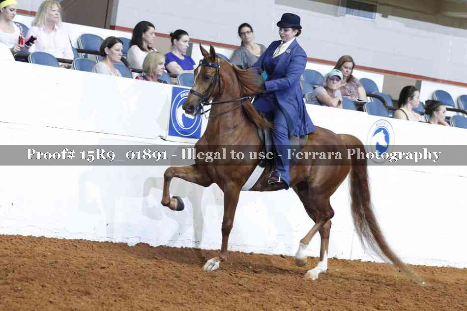 Proof 15R9_01891