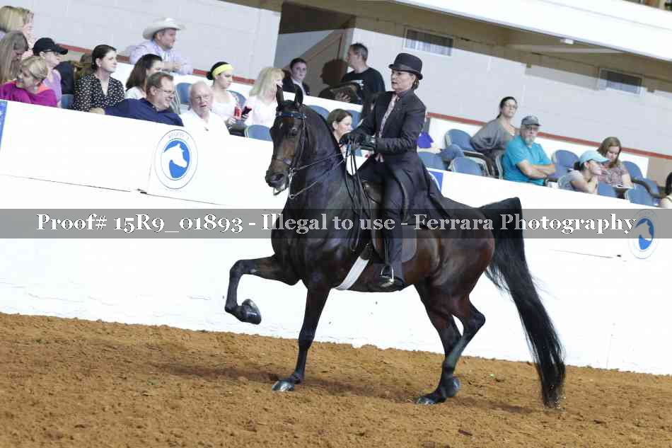 Proof 15R9_01893