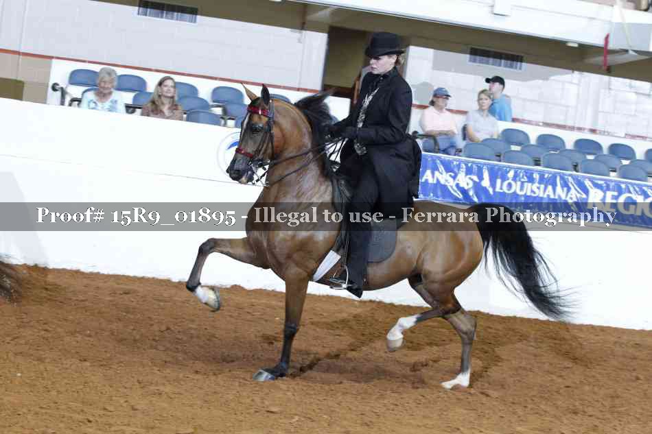 Proof 15R9_01895