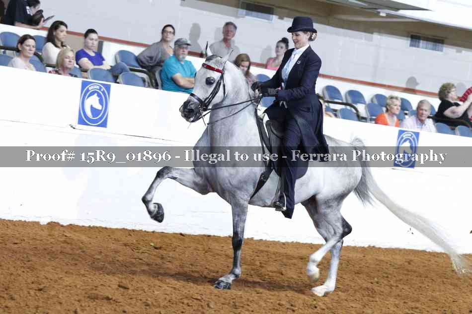 Proof 15R9_01896