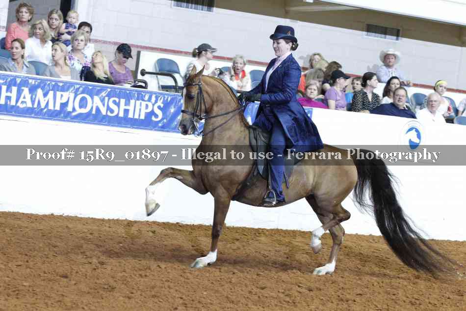 Proof 15R9_01897